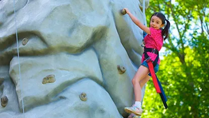 Climbing Wall