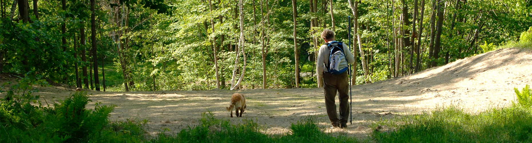 A person with a backpack and walking stick hikes on a dirt trail surrounded by green forest, with a dog walking ahead of them.